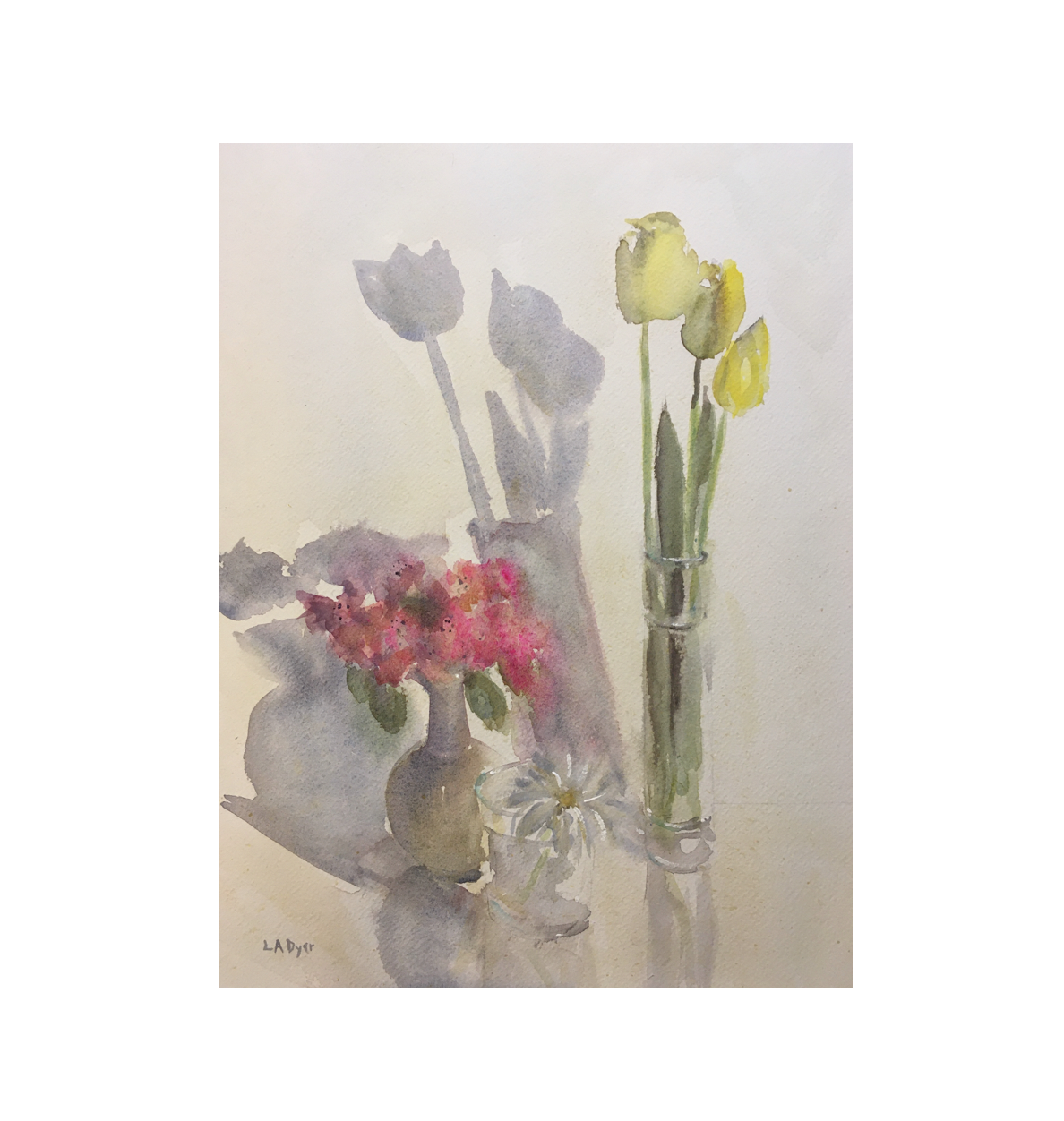 Spring Blossoms